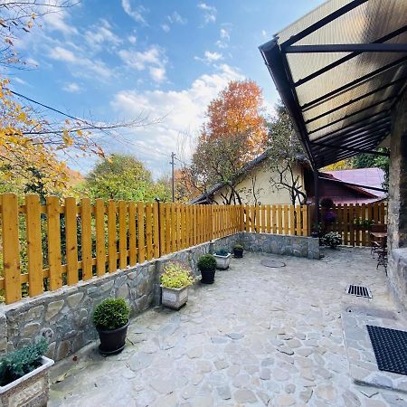 Apartment Carol Private Yard With Barbeque And Parking Σινάια Εξωτερικό φωτογραφία