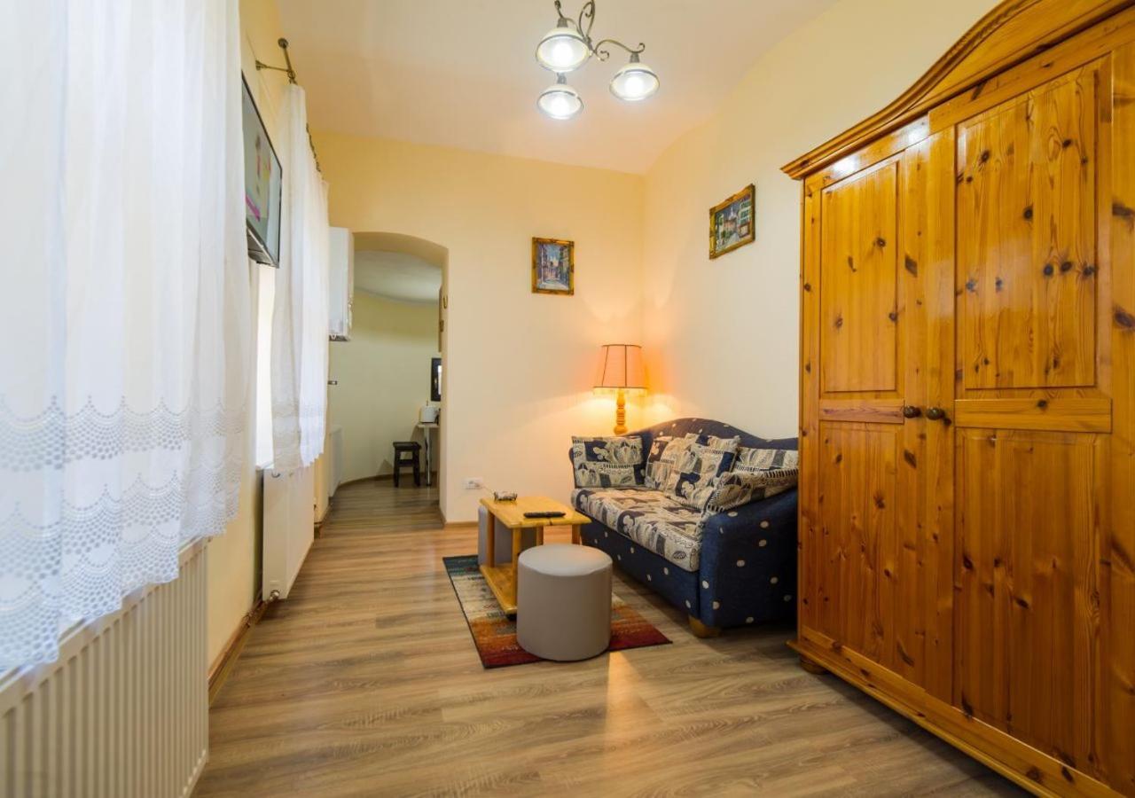 Apartment Carol Private Yard With Barbeque And Parking Σινάια Εξωτερικό φωτογραφία