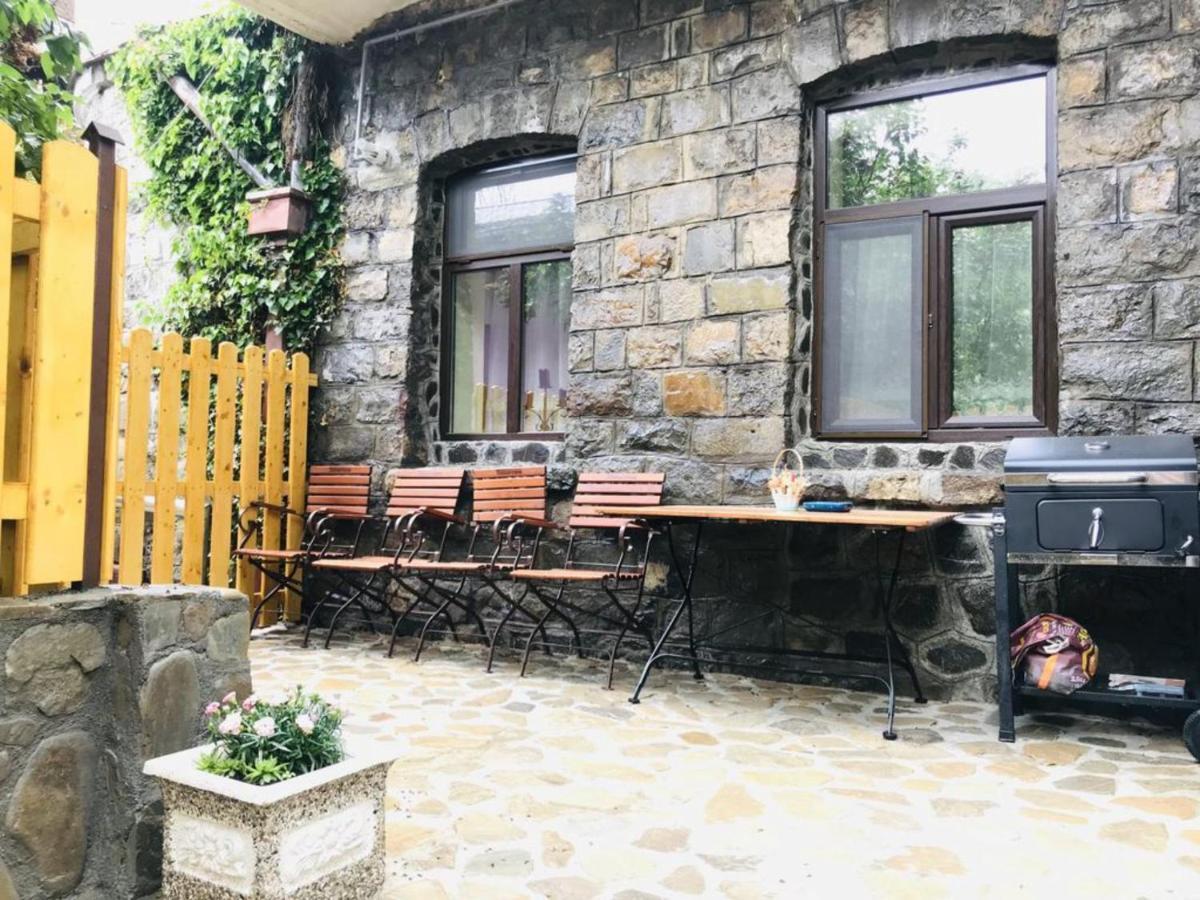 Apartment Carol Private Yard With Barbeque And Parking Σινάια Εξωτερικό φωτογραφία