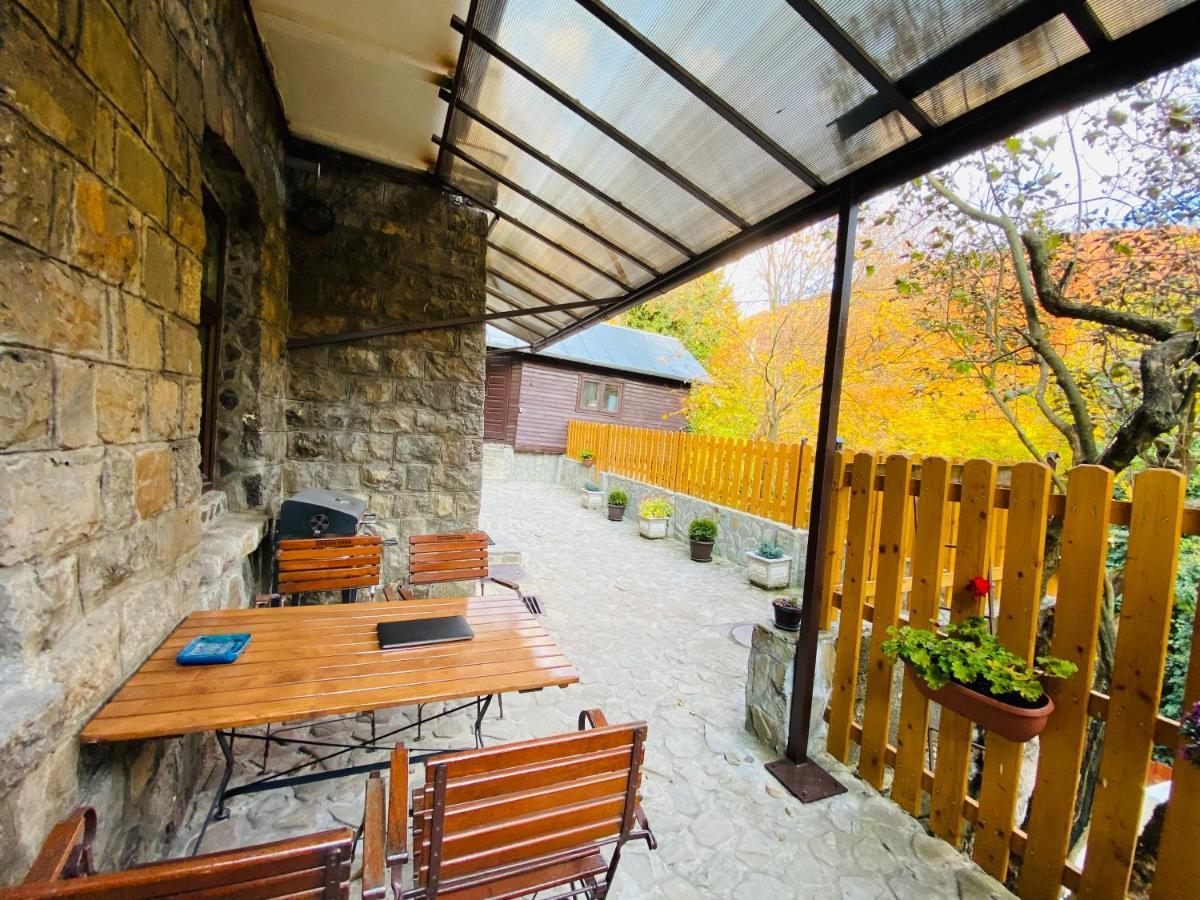 Apartment Carol Private Yard With Barbeque And Parking Σινάια Εξωτερικό φωτογραφία