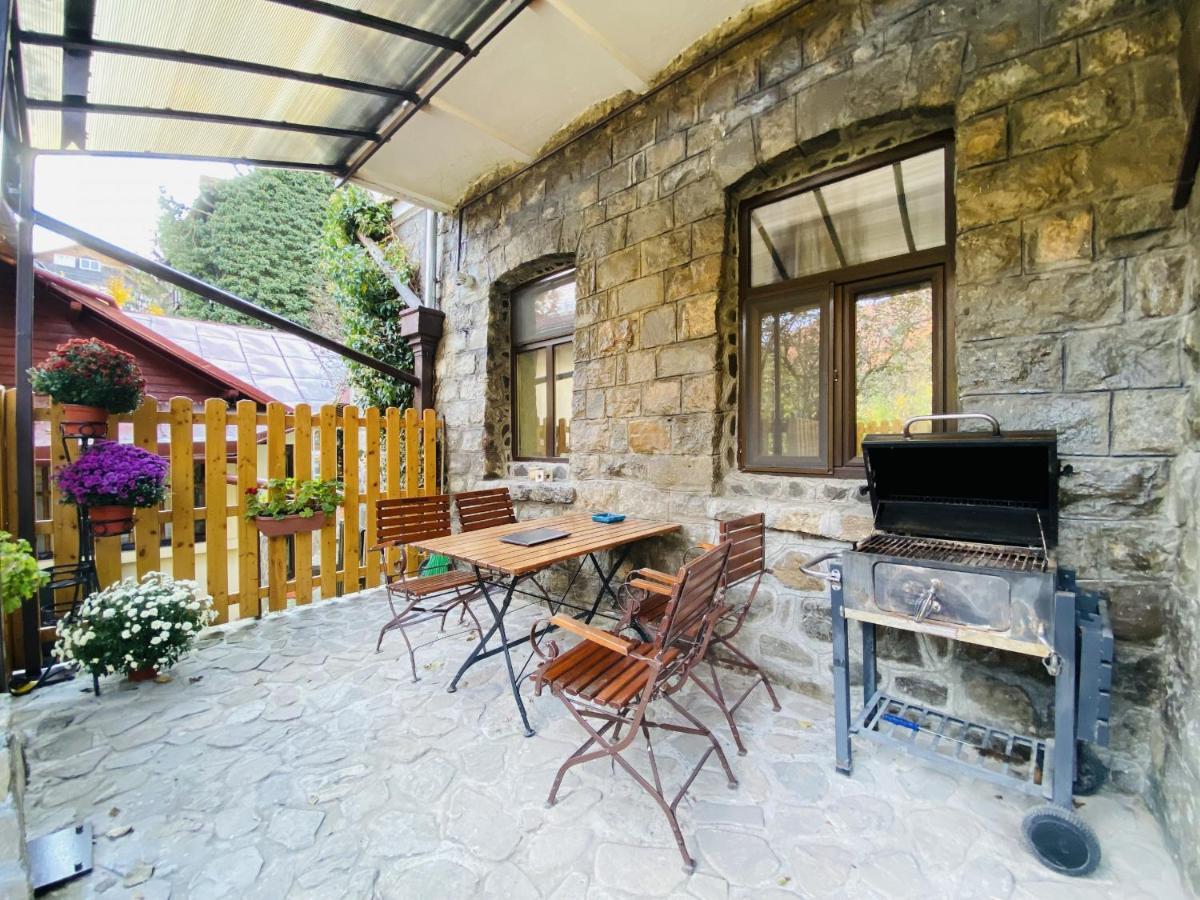 Apartment Carol Private Yard With Barbeque And Parking Σινάια Εξωτερικό φωτογραφία