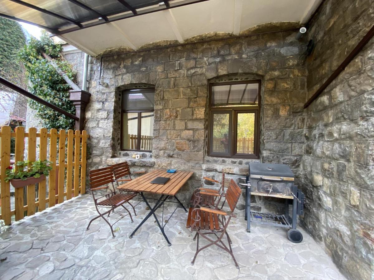 Apartment Carol Private Yard With Barbeque And Parking Σινάια Εξωτερικό φωτογραφία