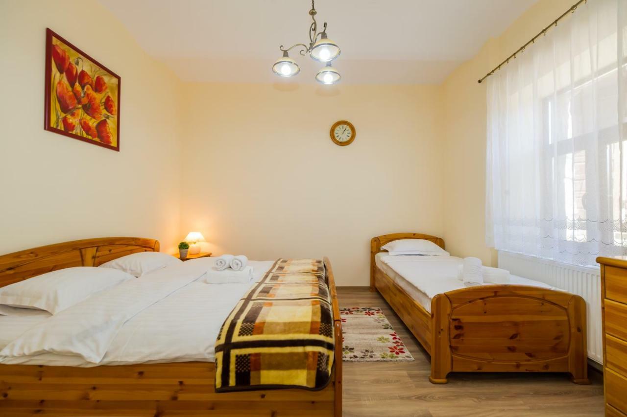 Apartment Carol Private Yard With Barbeque And Parking Σινάια Εξωτερικό φωτογραφία