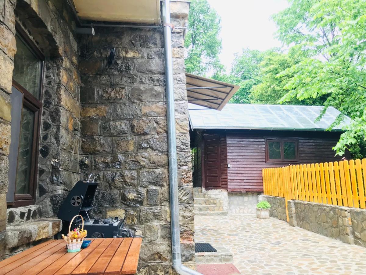 Apartment Carol Private Yard With Barbeque And Parking Σινάια Εξωτερικό φωτογραφία